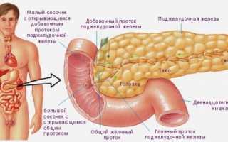 УЗИ органов брюшной полости: что входит, показания, результаты