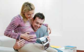Ультразвуковое исследование на 23-24 неделе беременности
