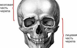 МР томография черепа: быстрая диагностика, сравнение с КТ и рентгенографией