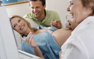 Сроки проведения УЗИ при беременности